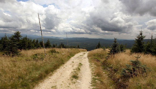 On the way to mountain Smrk near Liberec