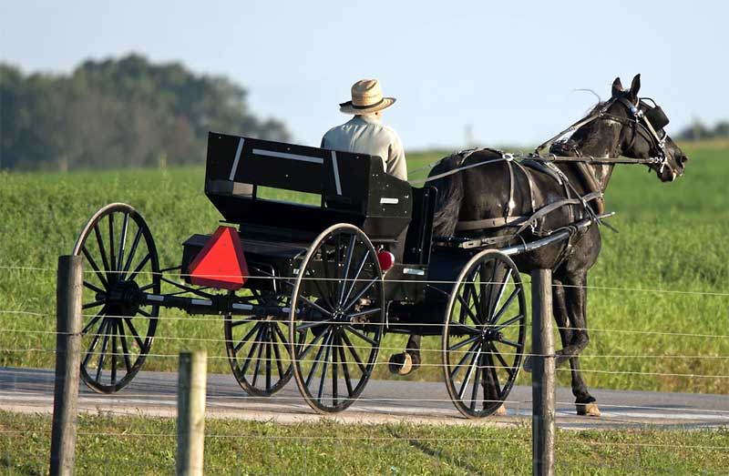 Visiting Amish Town